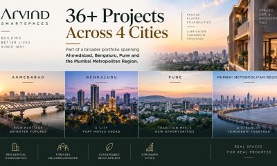 36 project plus - highlights
